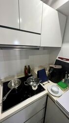 Blk 1A The Pinnacle@Duxton (Bukit Merah), HDB 4 Rooms #538107951